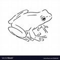 Frog Drawing Outline Trippy