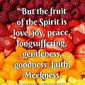 Fruits of the Spirit KJV Bible