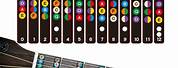 Guitar Fretboard Notes Stickers