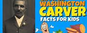 George Washington Carver Fun Facts for Kids