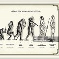 Getty Images Human Evolution