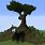 Giant Tree Schematic Minecraft