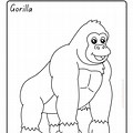 Google Clip Art Jungle Coloring Pages