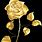 Gold Color Flowers