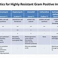 Gram-positive Bacteria Antibiotics