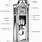 Grandfather Clock Works Diagram