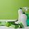 Green Cleaning Products