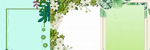 Green Floral Border and Background Design