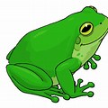 Green Frog Clip Art White Background