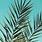 Green Palm Leaf Wallpaper