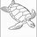 Green Turtle Coloring Pages