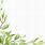 Greenery Border Png