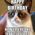 Grumpy Cat Happy Birthday Meme