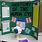 Human Body Science Fair Projects