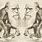 Human Evolution Charles Darwin