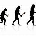 Human Evolution Transparent Background