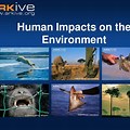 Human Impact On the Environment for Kids