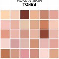 Human Skin Color Chart