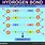 Hydrogen Bonds On DNA