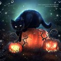 Halloween Moon Cat Desktop Wallpaper