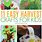 Harvest Craft Ideas for Kids