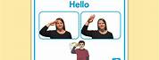 Hello My Name Is in Sign Language ASL