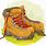 Hiking Boots Cartoon