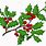 Holly Branch Clip Art