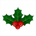 Holly Leaf PNG Vector