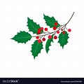 Holly Tree Leaf Vector