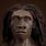 Homo Erectus Africa