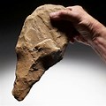 Homo Erectus Hand Axe