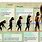 Homo Habilis Timeline