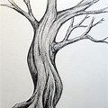 How to Draw Pencil Drawings Trees