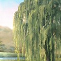 How Do You Paint a Willow Tree