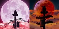 Itachi Wallpaper the Red Moon 500 by 1000