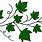 Ivy Leaf Vine Clip Art