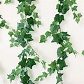 Ivy Vines Shooting Star