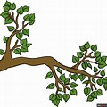 Icon Tree Branch Drawing