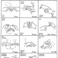 India Sign Language Chart