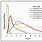 Insulin Action Profiles