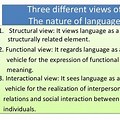 Interactional View On the Nature of Language