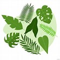 Jungle Leaves Clip Art SVG