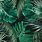 Jungle Leaves Pattern