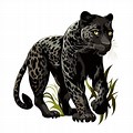 Jaguar Clip Art Black Position