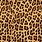 Jaguar Texture