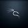 Kali Linux Backgounds