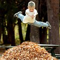 Kids Jumping in Leaf Pile