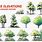 Landscape Design Drawing Trees