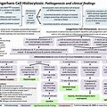 Langerhans Cell Histiocytosis Flow Cytometry